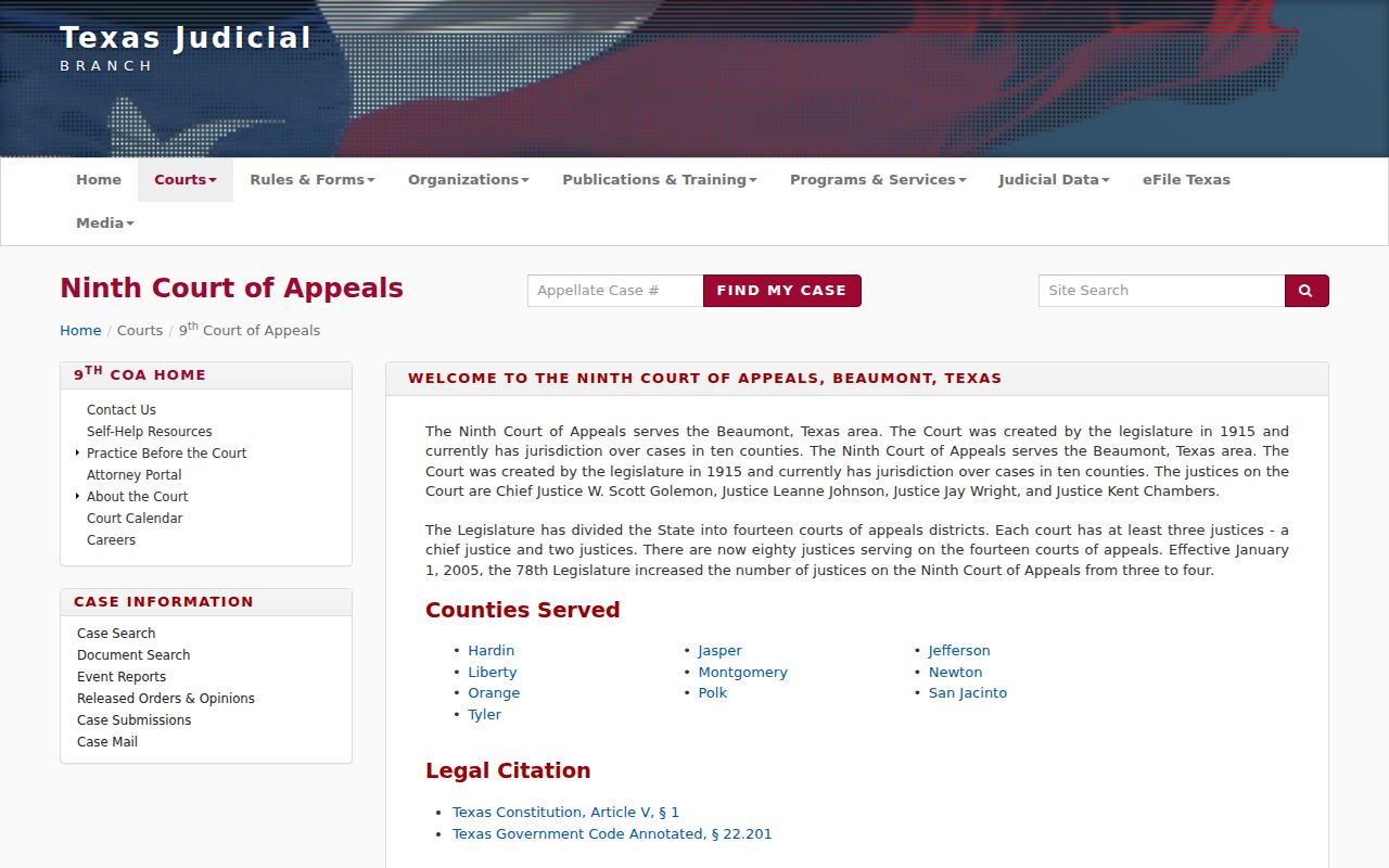 Liberty County court record search Ninth Court of Appeals